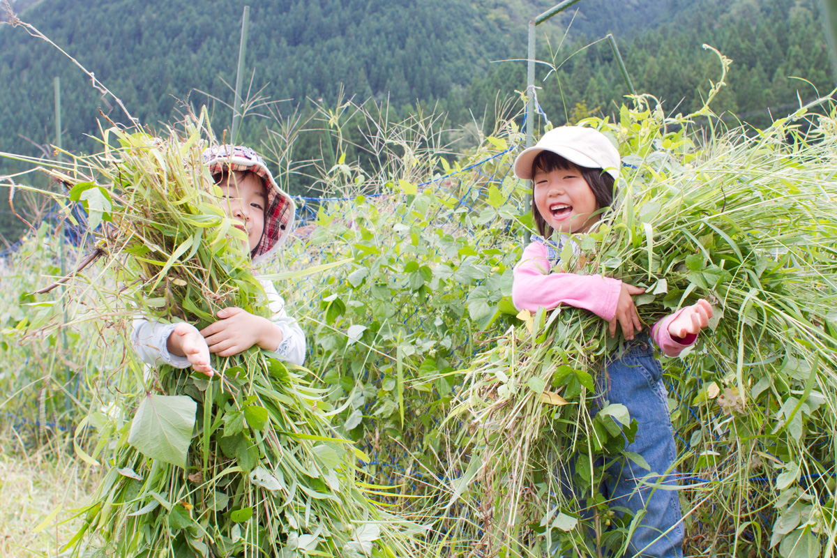 草刈りの子どもたち
